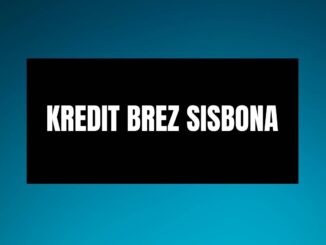 Kredit brez Sisbona