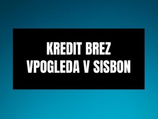 Kredit brez vpogleda v SISBON