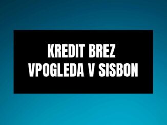 Kredit brez vpogleda v SISBON