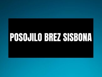 Posojilo brez Sisbona