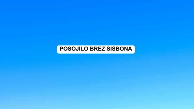 Posojilo brez Sisbona
